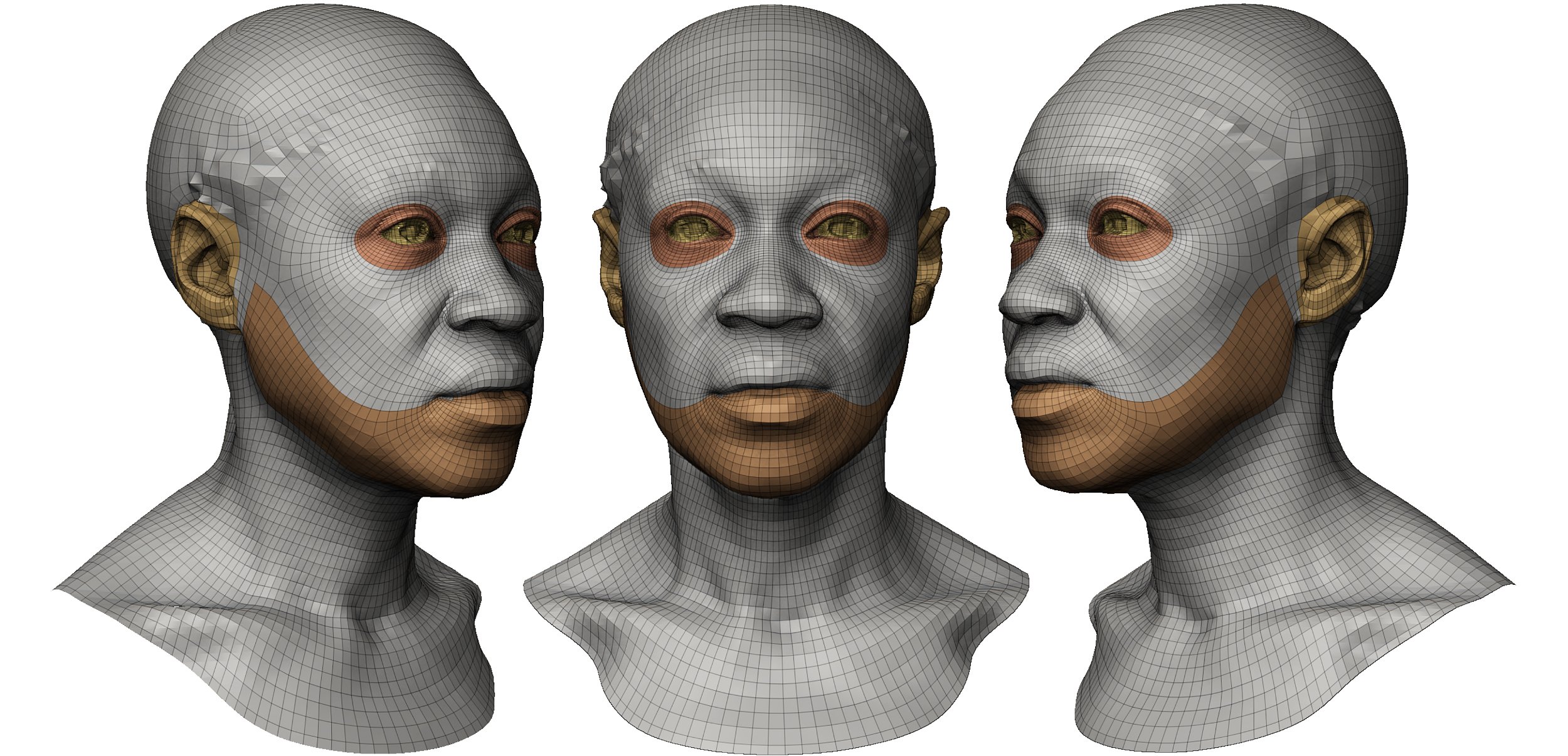3D Face topology